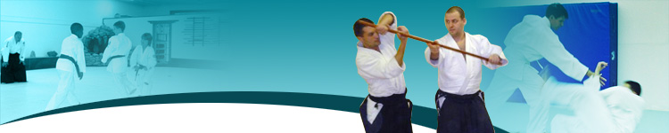 Aikido Moves at Aikido Technique